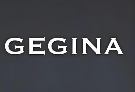 GEGINA是一个什么品牌？